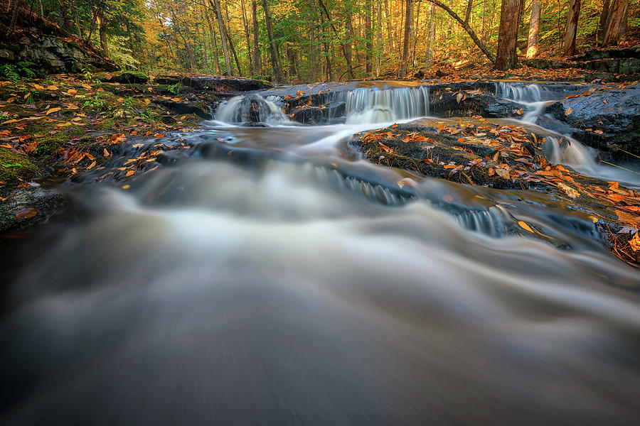 Fall Photograph - Fall Morning at Vaughan Brook. by Rick Berk