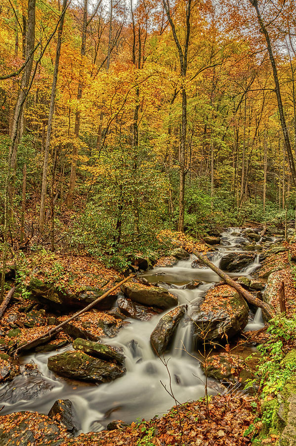 Fall Mountain Stream Photograph by Meta Gatschenberger