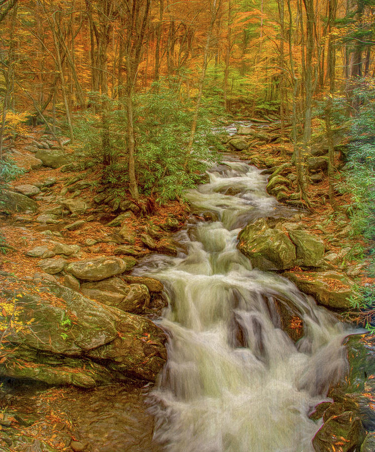 Fall Mountain Stream, Painterly Photograph by Marcy Wielfaert