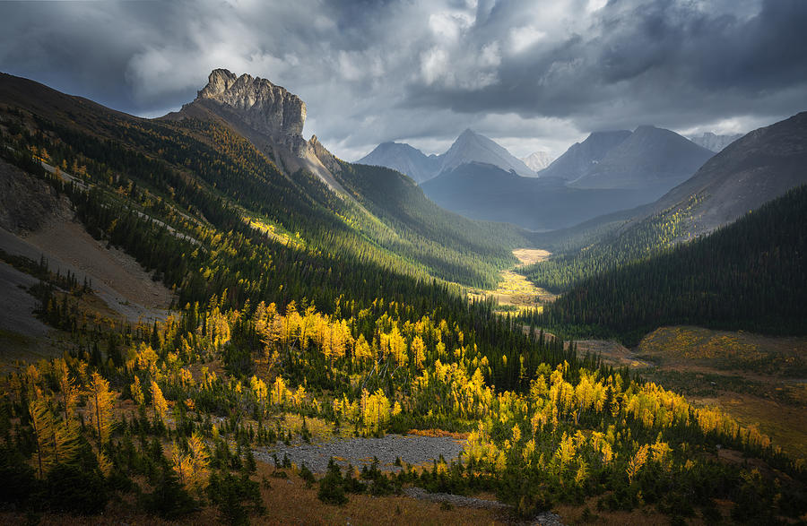 Fall Of Smutwood Valley Photograph by Yongnan Li ?????