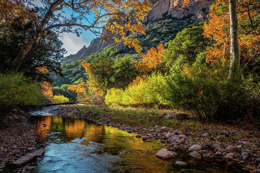 Fall on Cave Creek Photograph by Dennis Swena