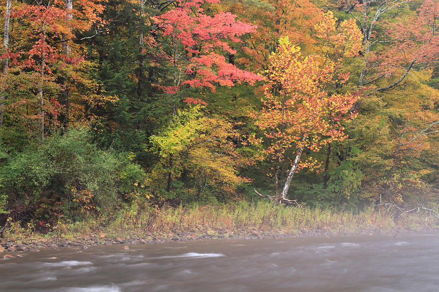 Fall On The Battenkill River Photograph by David Kenny