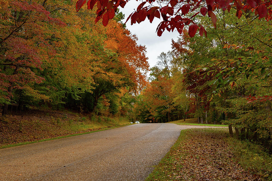 Fall On The Colonial Parkway Photograph by Jason Betzner