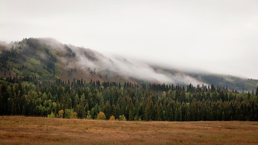 Fall on the Highwood Pass Photograph by Cory Huchkowski - Fine Art America