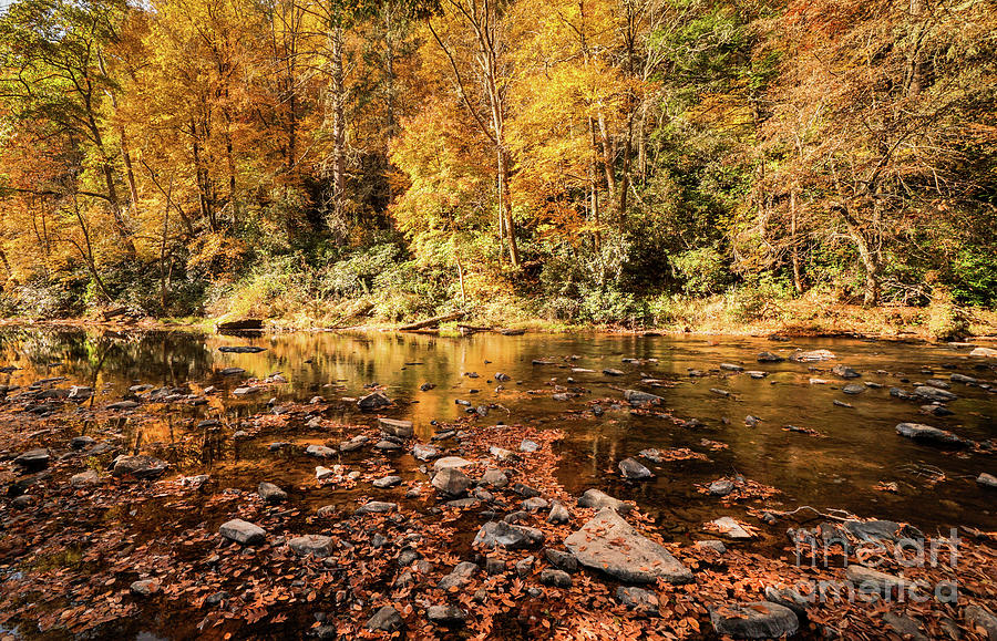 Fall Photograph - Fall On The River by Nando Lardi