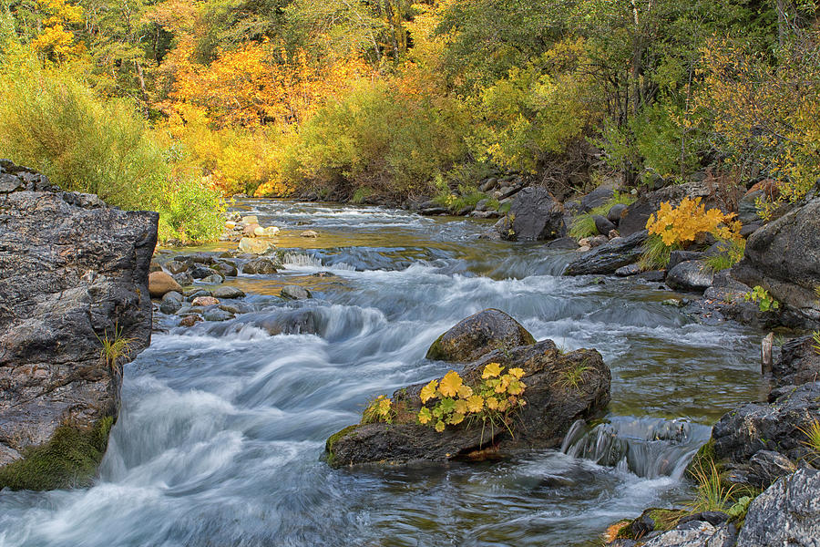 Fall on the Yuba Photograph by Tom Kelly