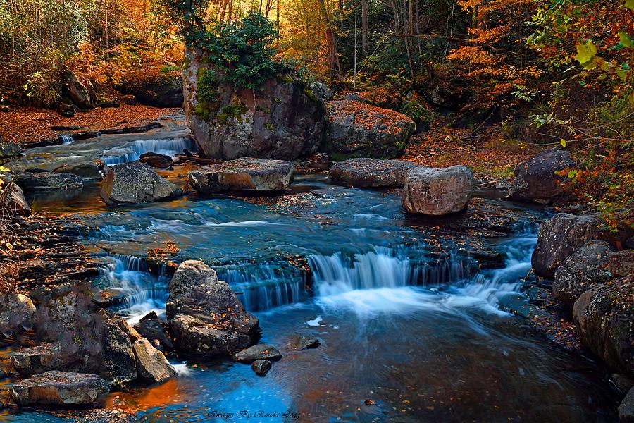 Fall on Wolf Creek Photograph by Ronda Legg | Fine Art America