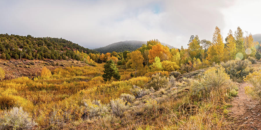 Fall Panorama of Aspens and Cottonwoods at Twomile Reservoir Dale Ball Trails - Santa Fe New Mexico Photograph by Silvio Ligutti