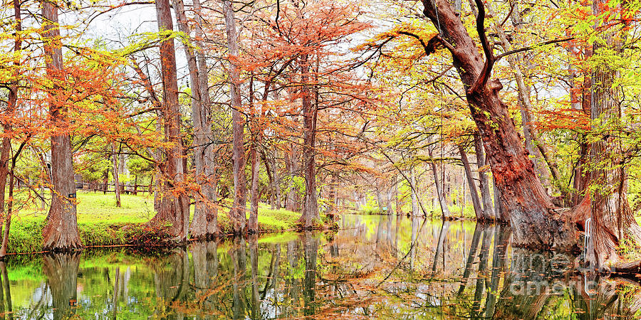 Fall Panorama of Blue Hole Regional Park in Wimberley Hays County Texas Hill Country Photograph by Silvio Ligutti