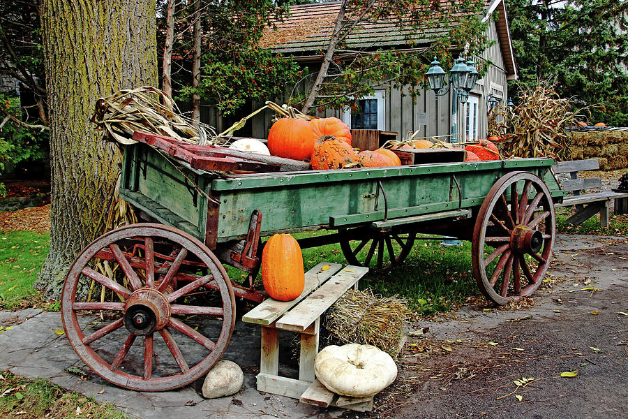 Fall Pumpkin Wagon Display Photograph by Debbie Oppermann