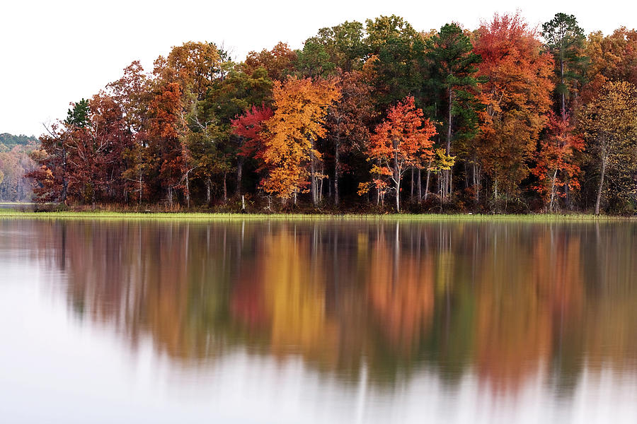 Fall Reflection Photograph by Cwellsphotography