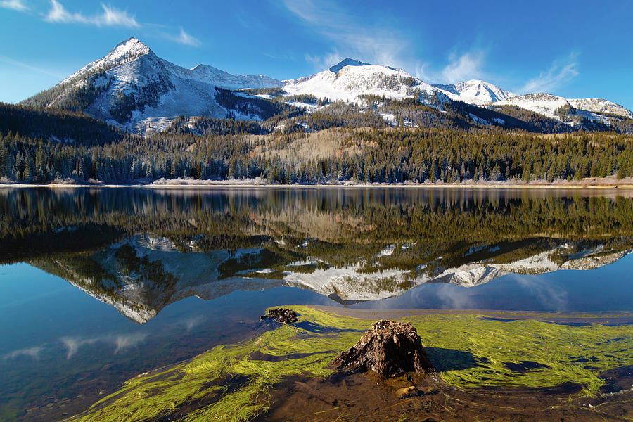 Fall Reflection by Jaquita Watters Fall Reflection by Jaquita Watters