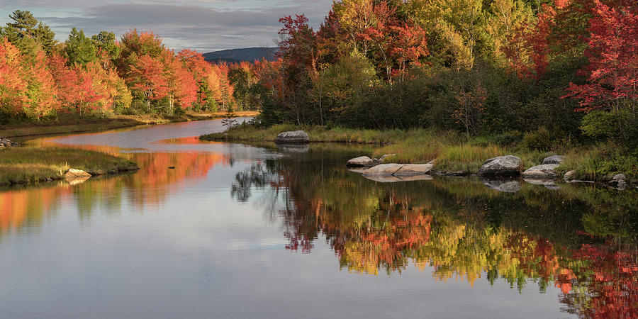 Fall Reflections Photograph by Darylann Leonard Photography