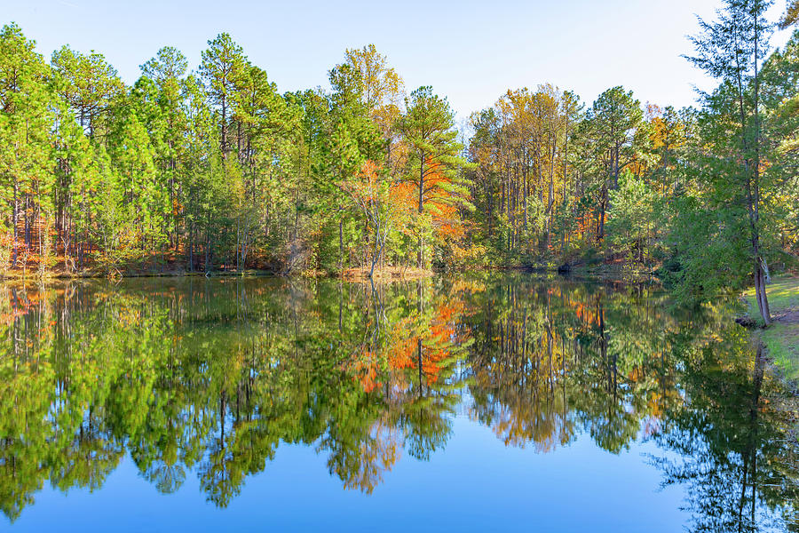 Fall Reflections Photograph by Donna Twiford