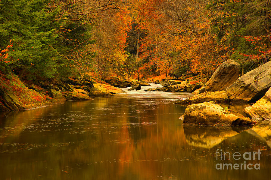 Fall Reflections In Slippery Rock Creek Photograph by Adam Jewell