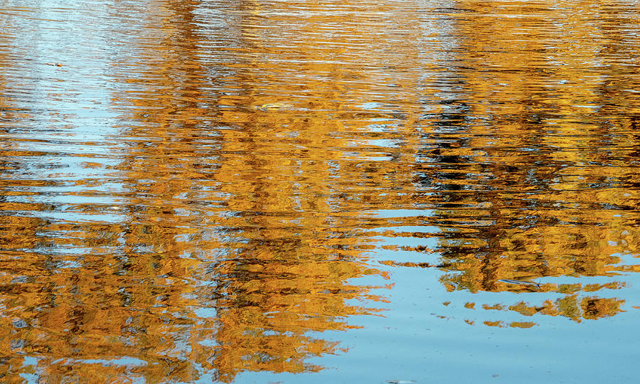 Fall Reflections Photograph by Jean Noren