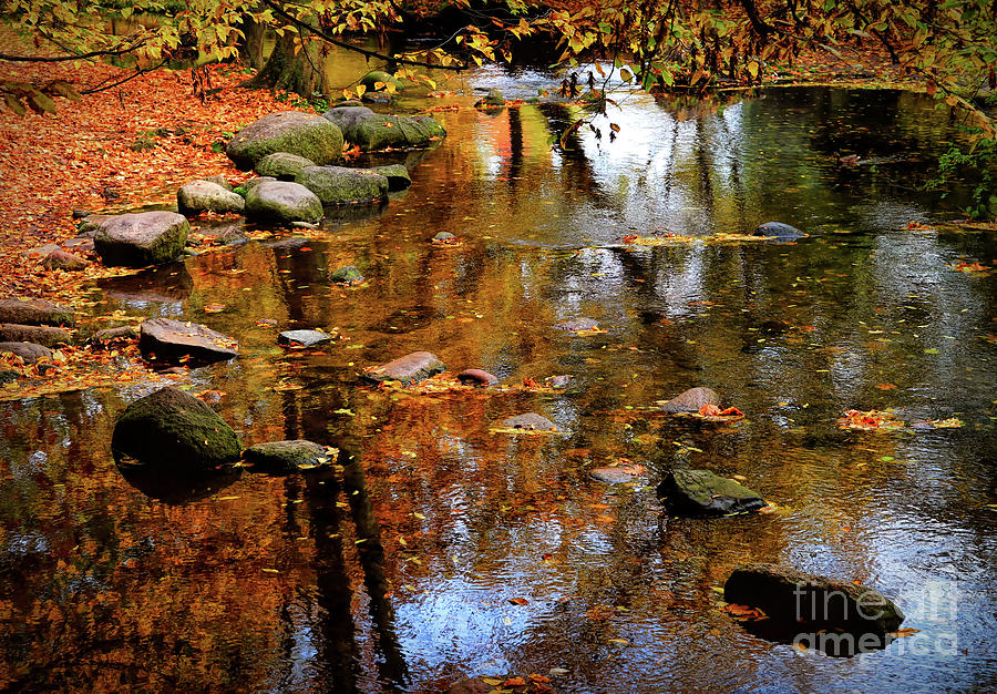 Fall Reflections Photograph