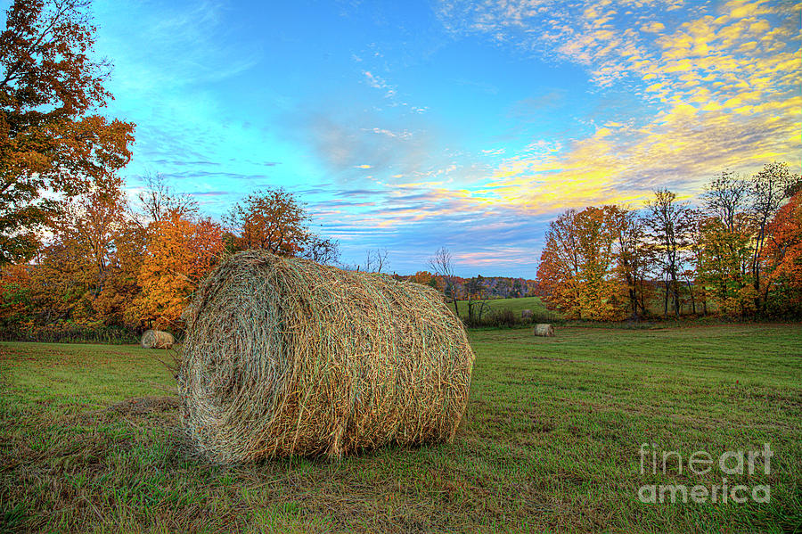 Fall Scene with Hay Bale  Photograph by Larry Braun