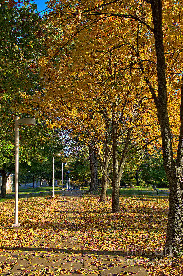 Fall Sidewalk by Steve Edwards Fall Sidewalk by Steve Edwards
