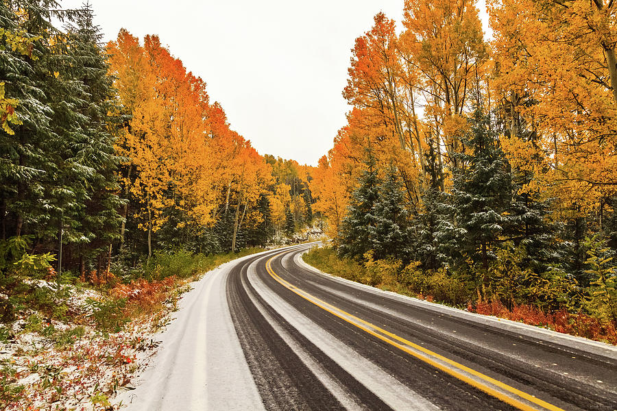 Fall Snow by Rick Furmanek Fall Snow by Rick Furmanek