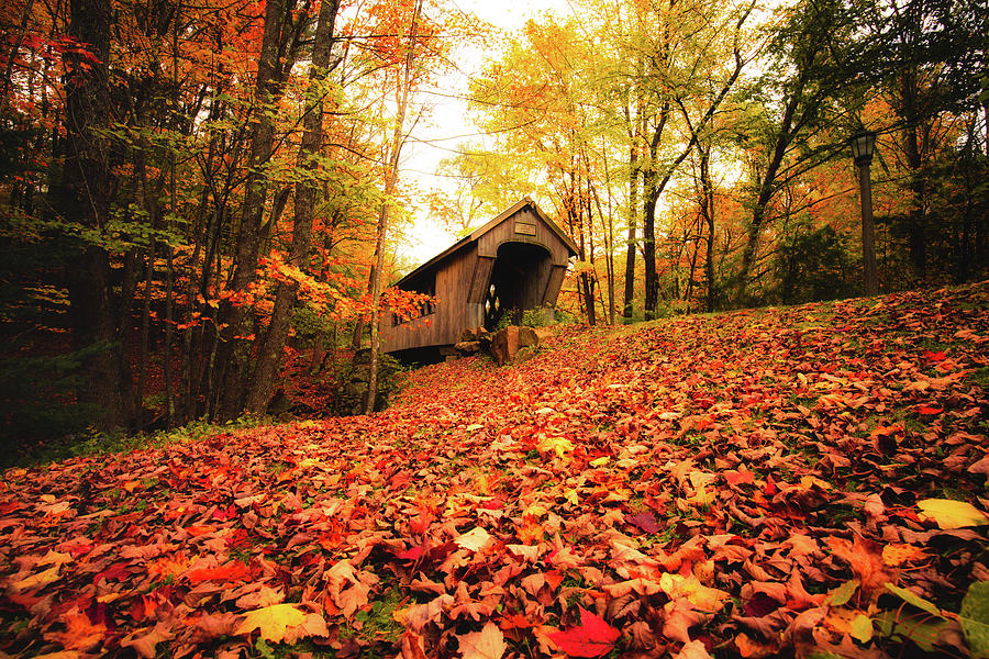 Fall Splendor at Tannery Hill Bridge Photograph by Robert Clifford