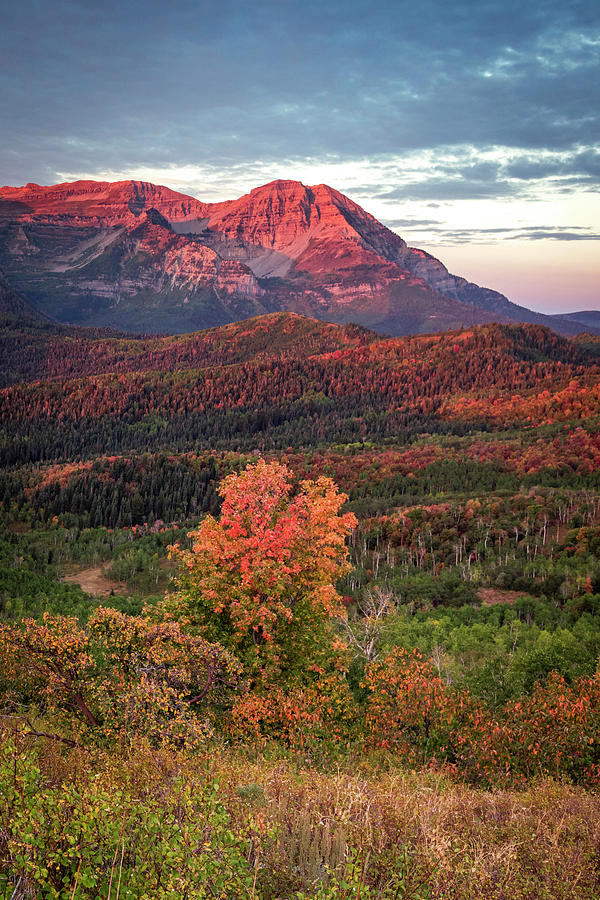 Mountain Photograph - Fall Splendor in Morning Light by Wasatch Light