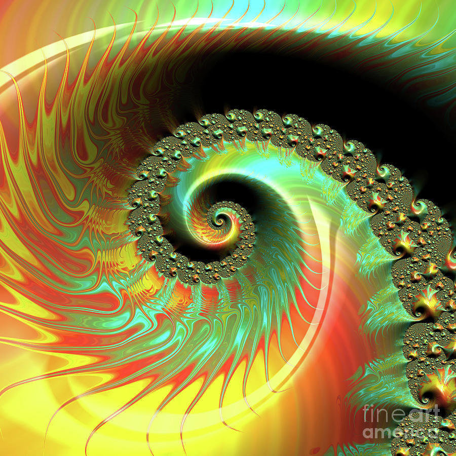 Abstract Digital Art - Fall Star Spiral Square by Elisabeth Lucas