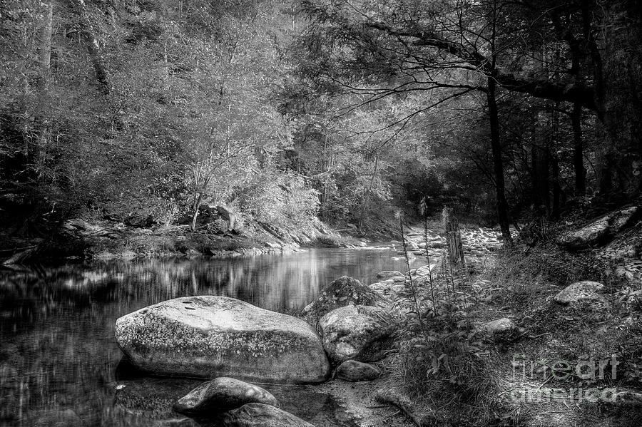 Fall Stream Black And White Photograph by Mike Eingle