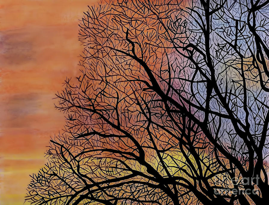 Fall Sunset Drawing By D Hackett