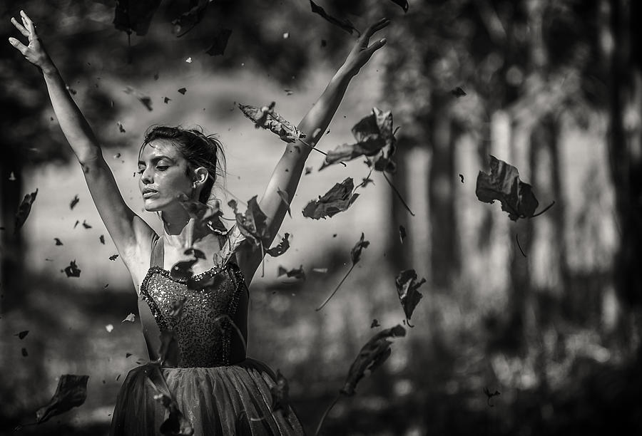 Fall Photograph by Tomer Eliash