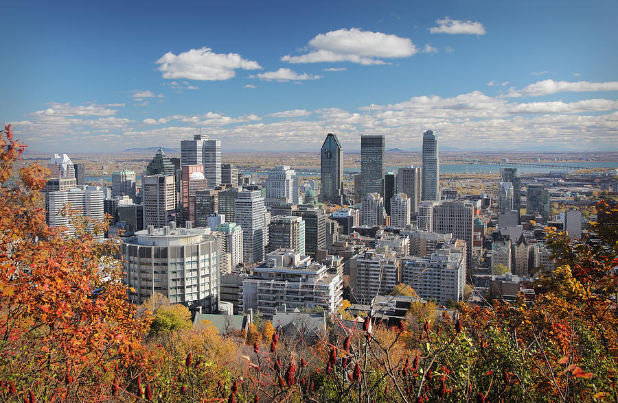 Fall Trees With Montreal Skyline In Photograph by Buzbuzzer
