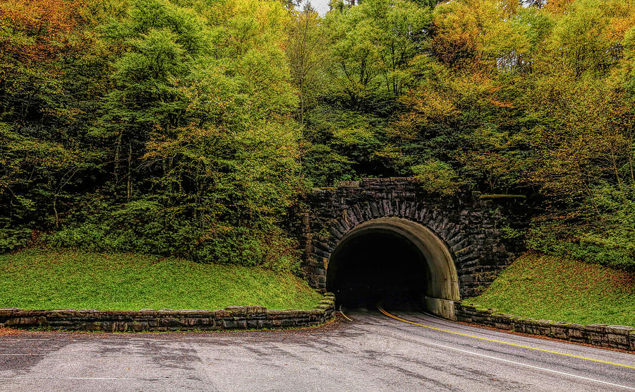 Fall Tunnel Photograph by Judy Vincent