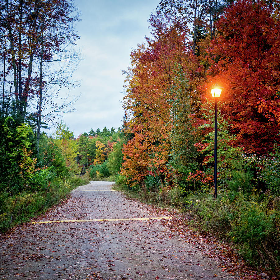 Fall Twilight by Samuel M Purvis III Fall Twilight by Samuel M Purvis III