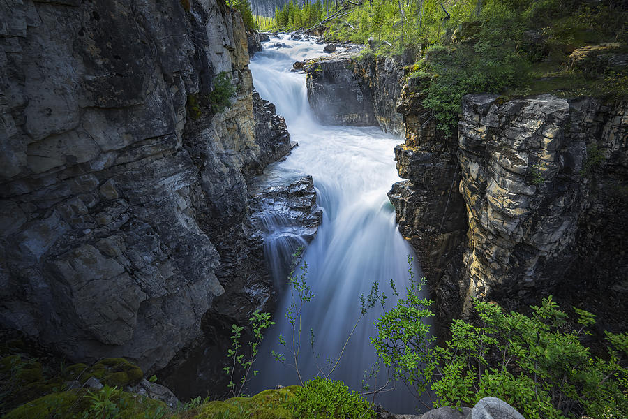 Banff National Park Photograph - Fall by Yongnan Li ?????