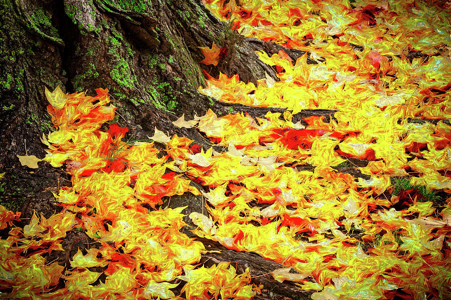 Fallen Fall Leaves AP Painting by Dan Carmichael