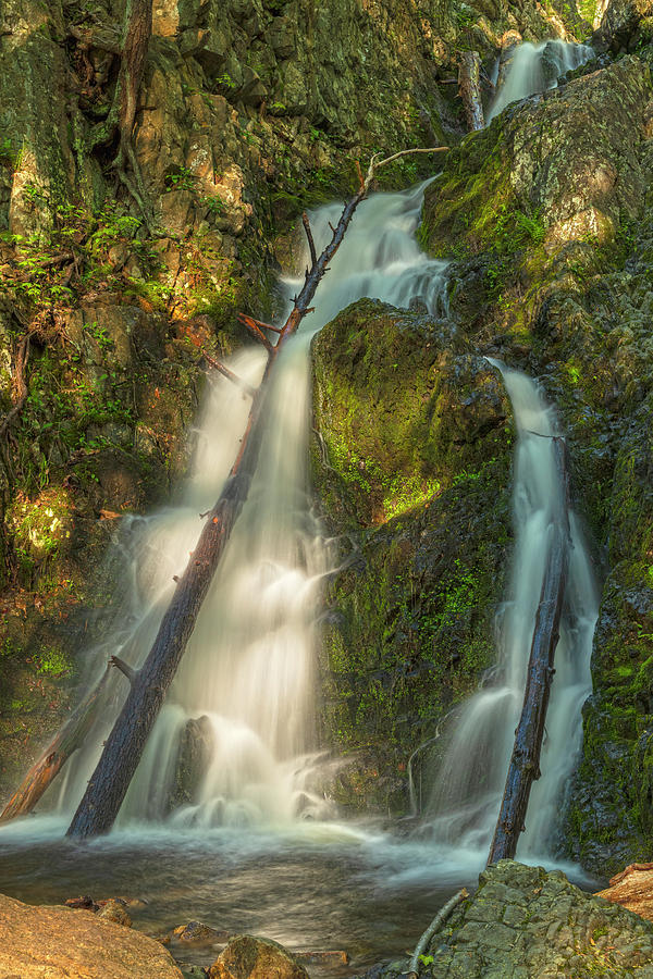Waterfall Photograph - Fallen Falls by Angelo Marcialis