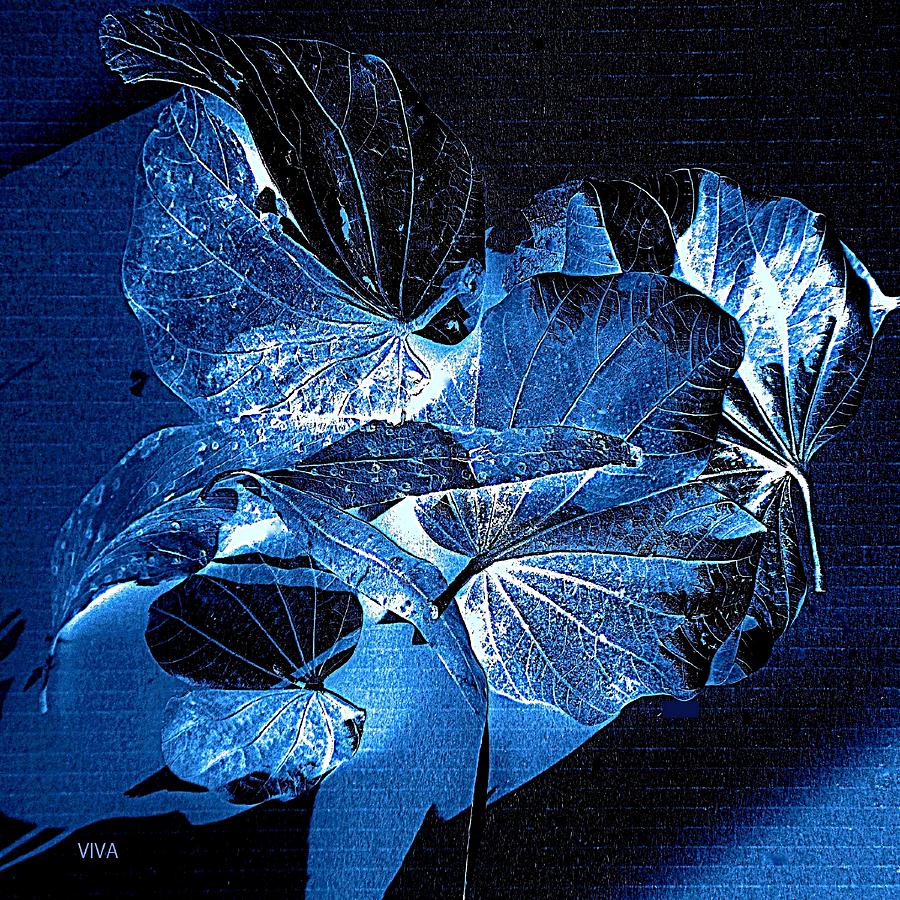 Fallen Leaves At Midnight by VIVA Anderson Fallen Leaves At Midnight by VIVA Anderson