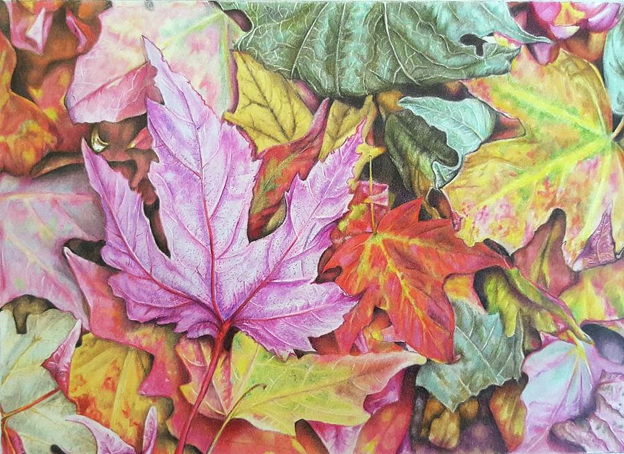 Fallen Leaves Drawing By Lesley Martyn