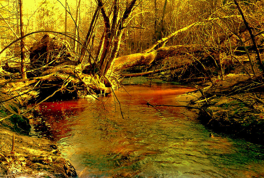 Fallen tree by Henryk Gorecki Fallen tree by Henryk Gorecki
