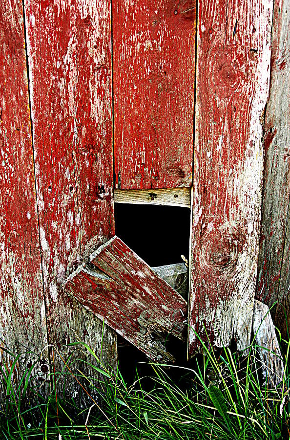 Falling Apart by Sannel Larson Falling Apart by Sannel Larson