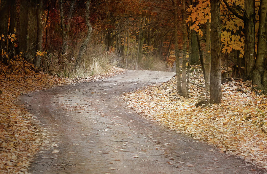 Falling Colors by Joanna Kovalcsik Falling Colors by Joanna Kovalcsik
