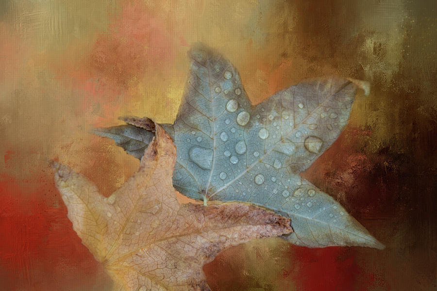 Falling leaves Digital Art by Terry Davis