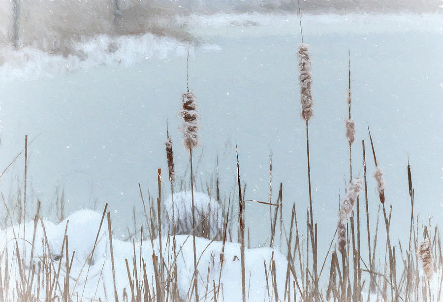 Nature Photograph - Falling Snow Upon Cattails Along Pond by Anthony Paladino