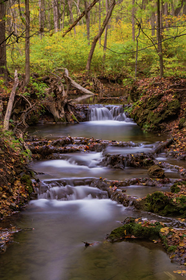 Falling Spring Creek Photograph by Joe Kopp