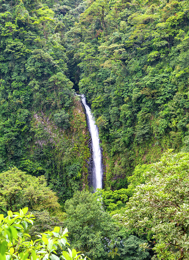 Waterfall Photograph - Falling To The Pool La Fortuna by Betsy Knapp Waterfall Photograph - Falling To The Pool La Fortuna by Betsy Knapp