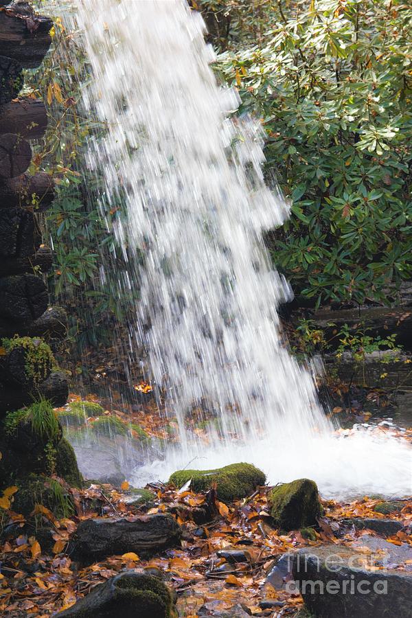 Falling Water by Cynthia Mask Falling Water by Cynthia Mask