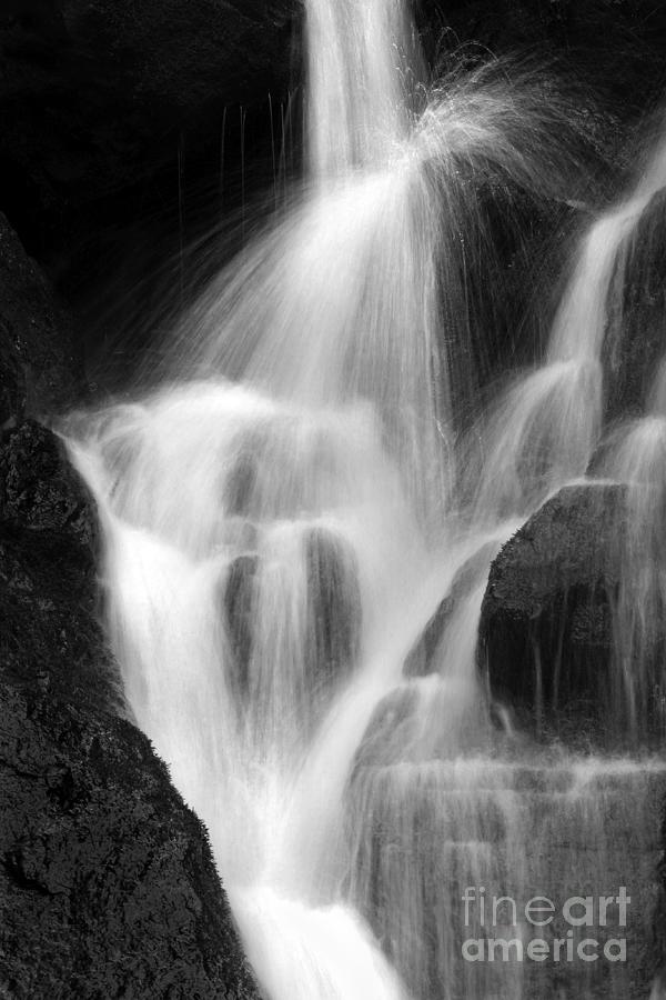 Mount Rainier National Park Photograph - Falling Water, Mount Rainier National Park, Black And White by Douglas Taylor