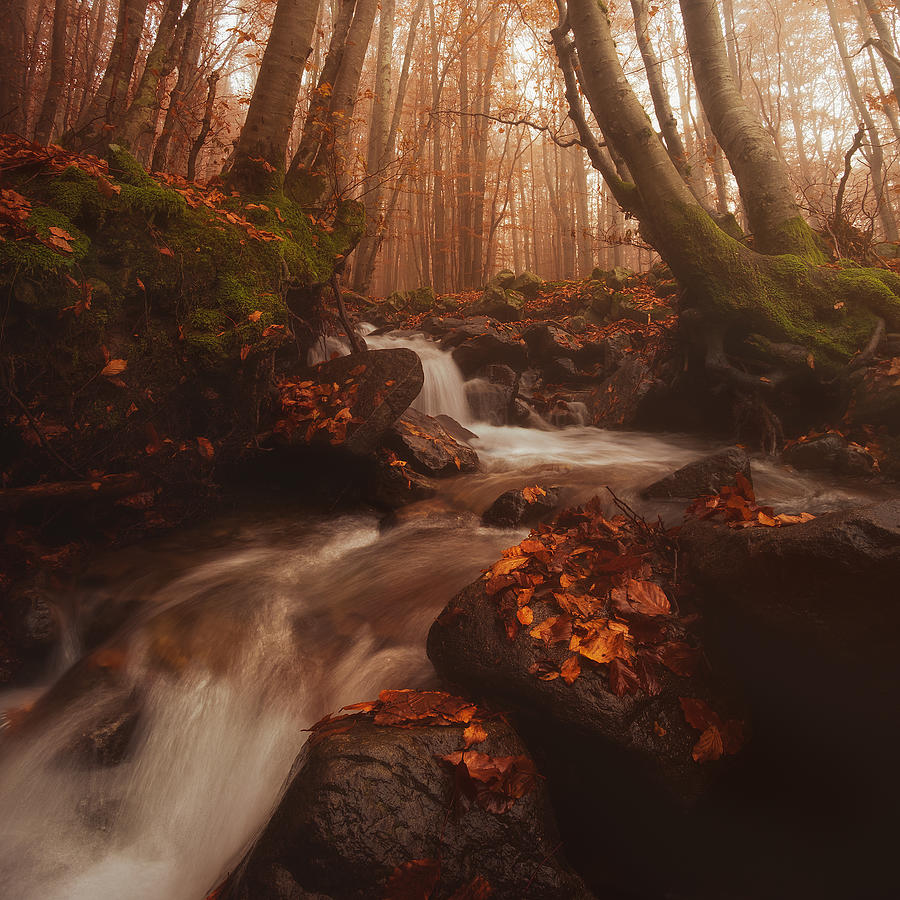 Falling Water On Autumn (part 2) Photograph by Paolo Lazzarotti
