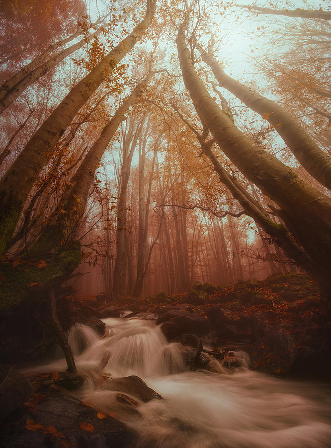 Falling Water On Autumn (part 3) Photograph by Paolo Lazzarotti