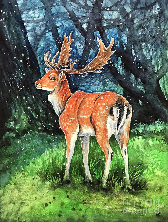 Fallow Deer Buck Painting by Zaira Dzhaubaeva